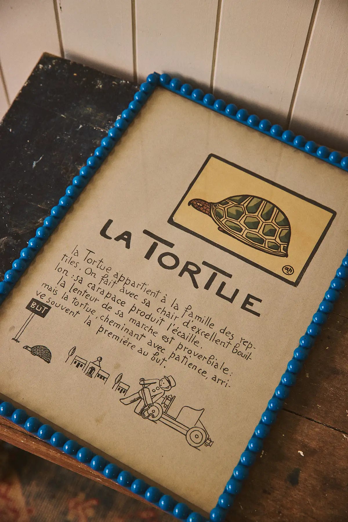 La Tortue - illustration encadrée d'André Hellé