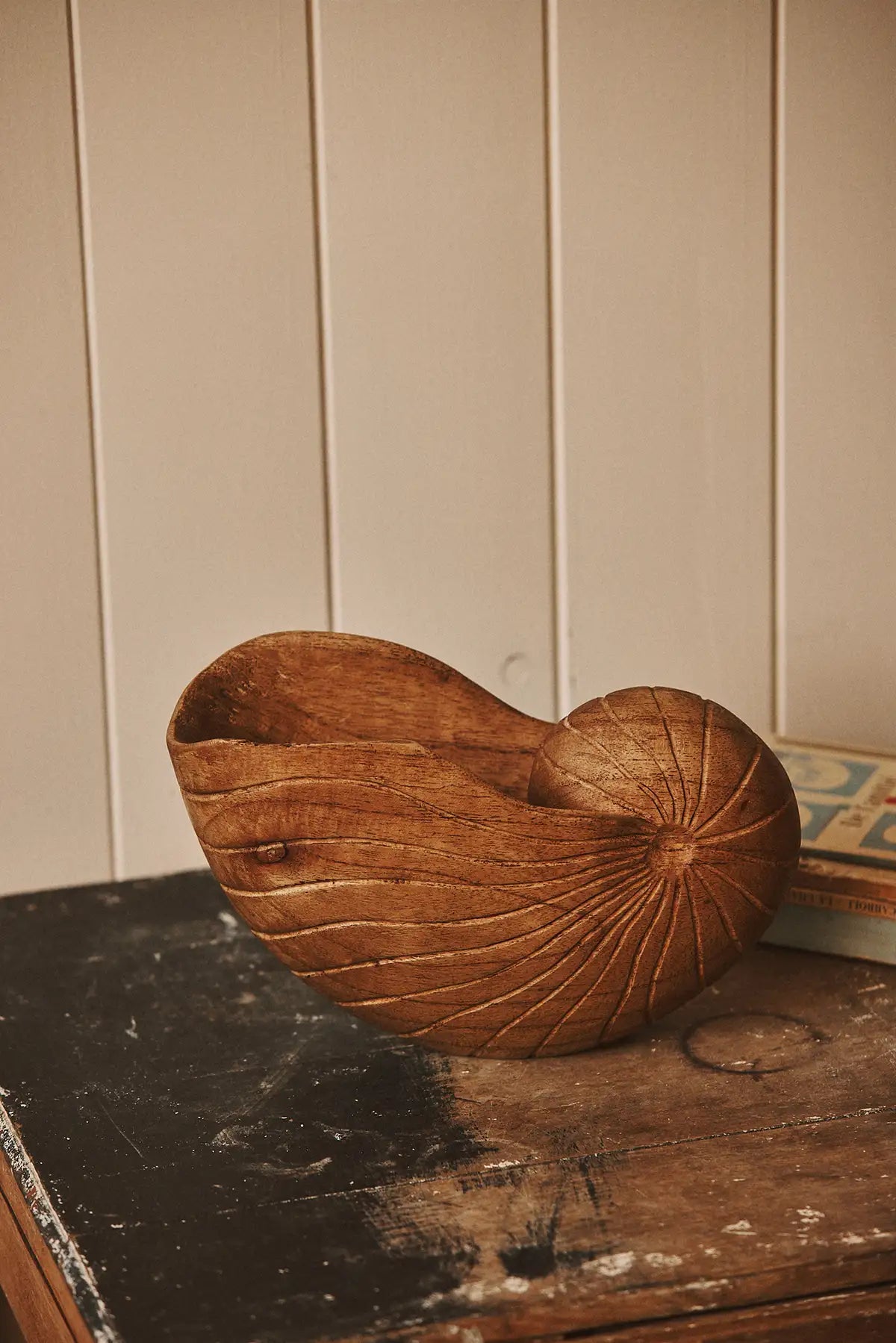 Nautile en bois massif