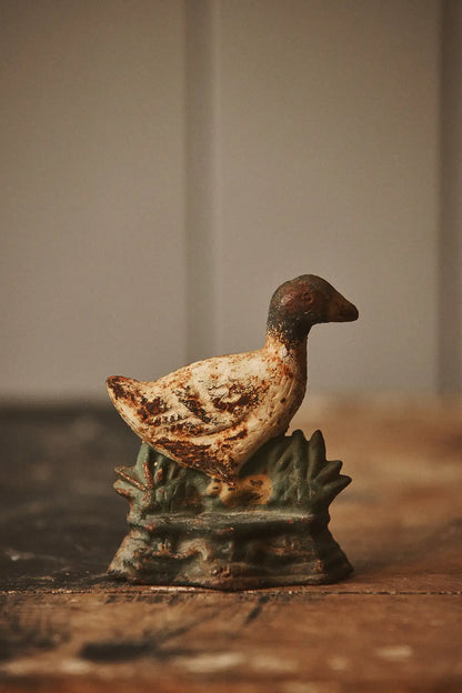 Cale porte animaux