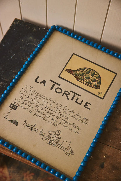 La Tortue - illustration encadrée d'André Hellé