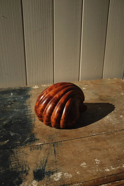 Boite coquillage en bois