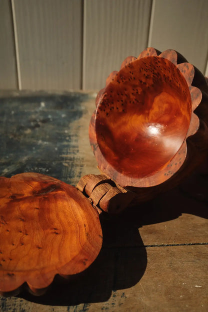 Boite coquillage en bois
