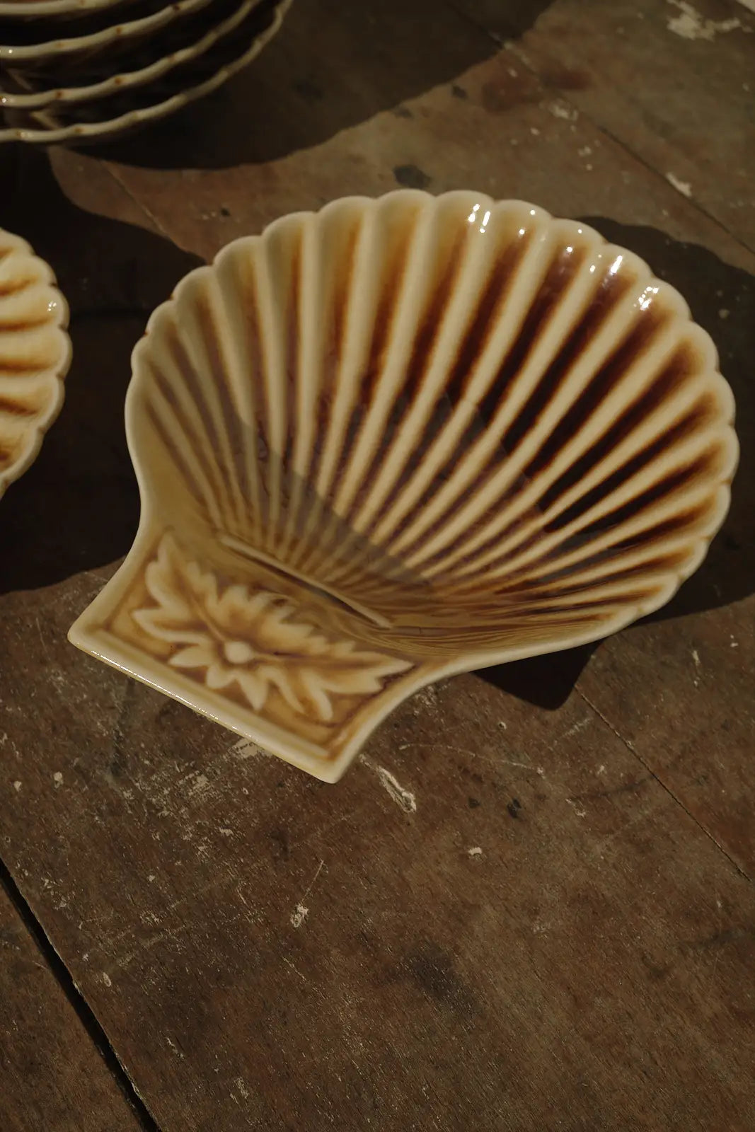 6 coupelles coquille
