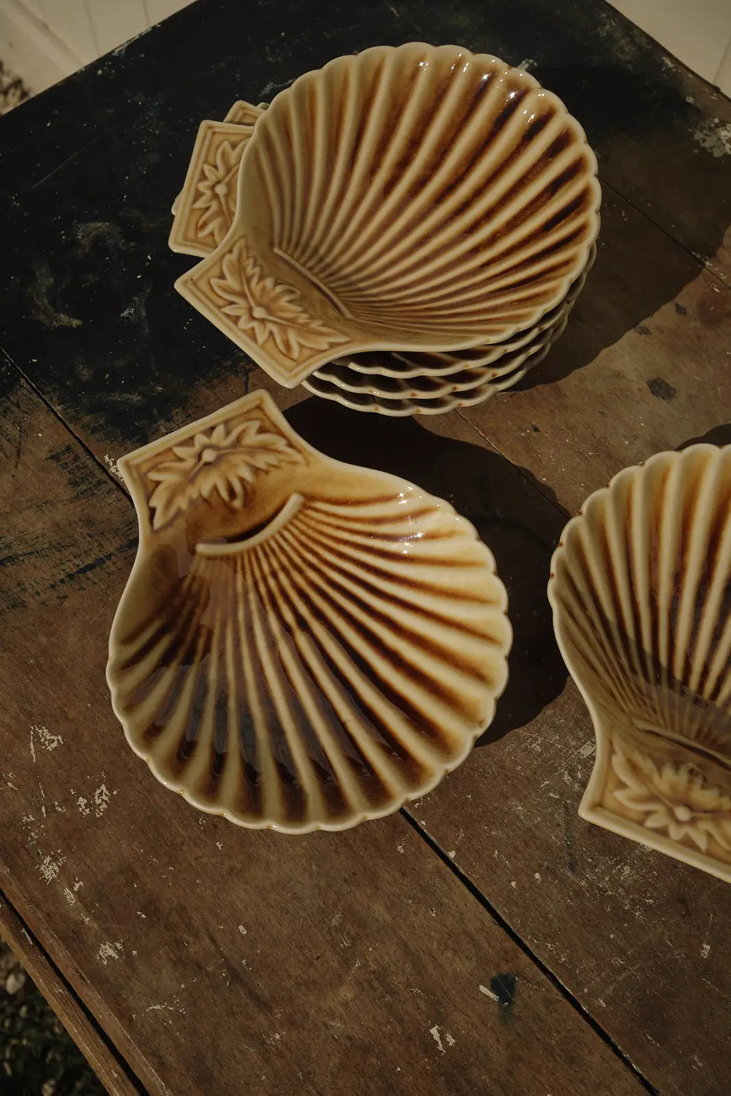 6 coupelles coquille