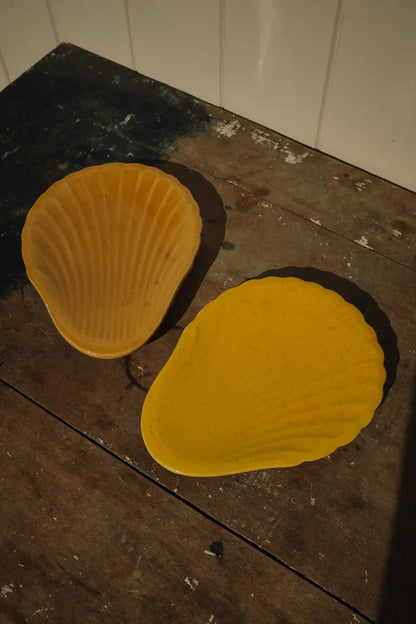 2 coupelles coquille