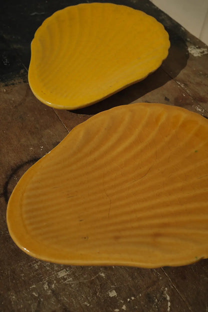 2 coupelles coquille