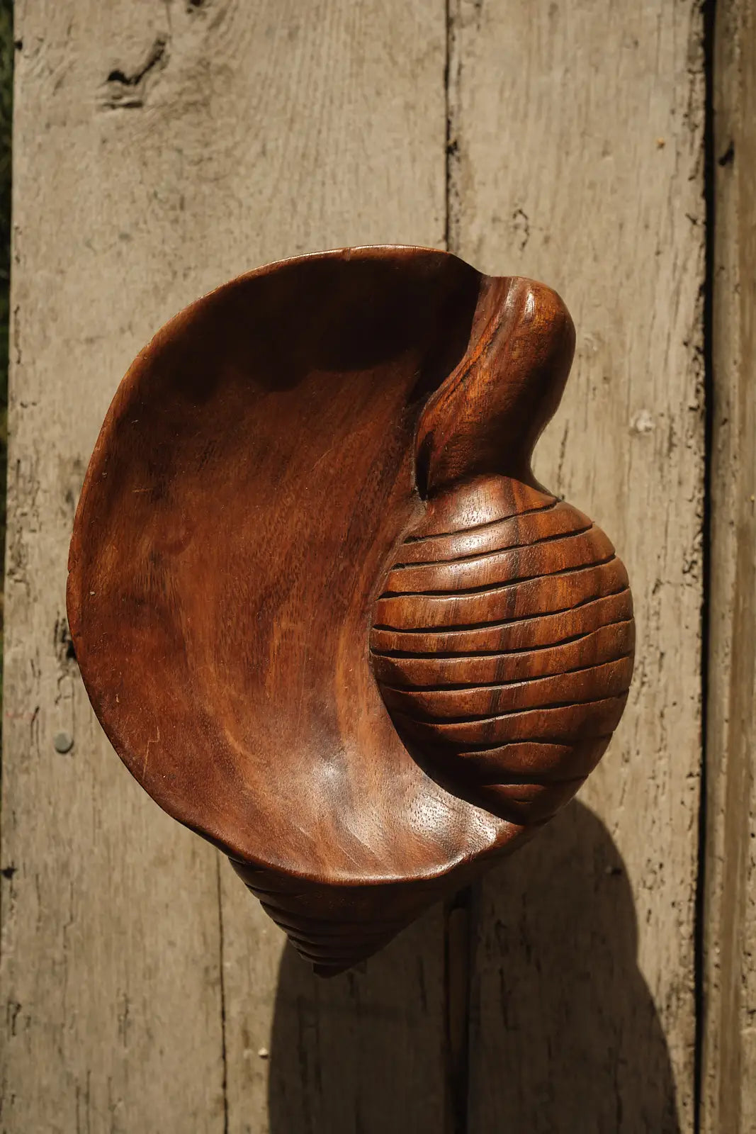 Vide poches coquillage en bois